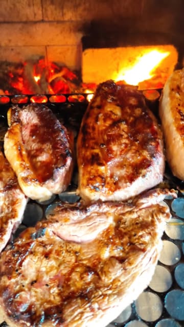 Cortes de carne dourando na grelha com a brasa ao fundo